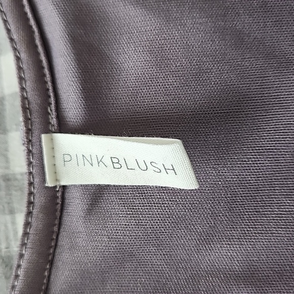 Pinkblush Lace Maxi Empire Waist Sleeved Dress - Picture 6 of 12